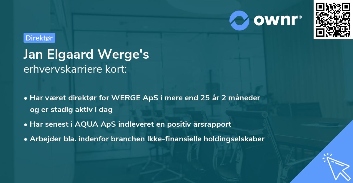 Jan Elgaard Werge's erhvervskarriere kort