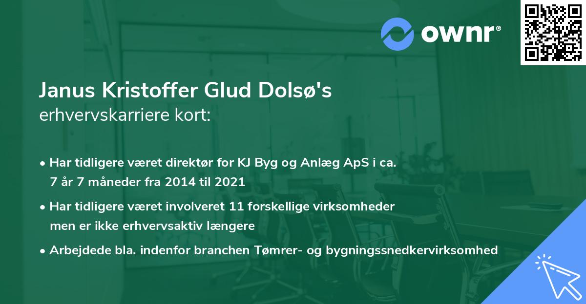 Janus Kristoffer Glud Dolsø's erhvervskarriere kort