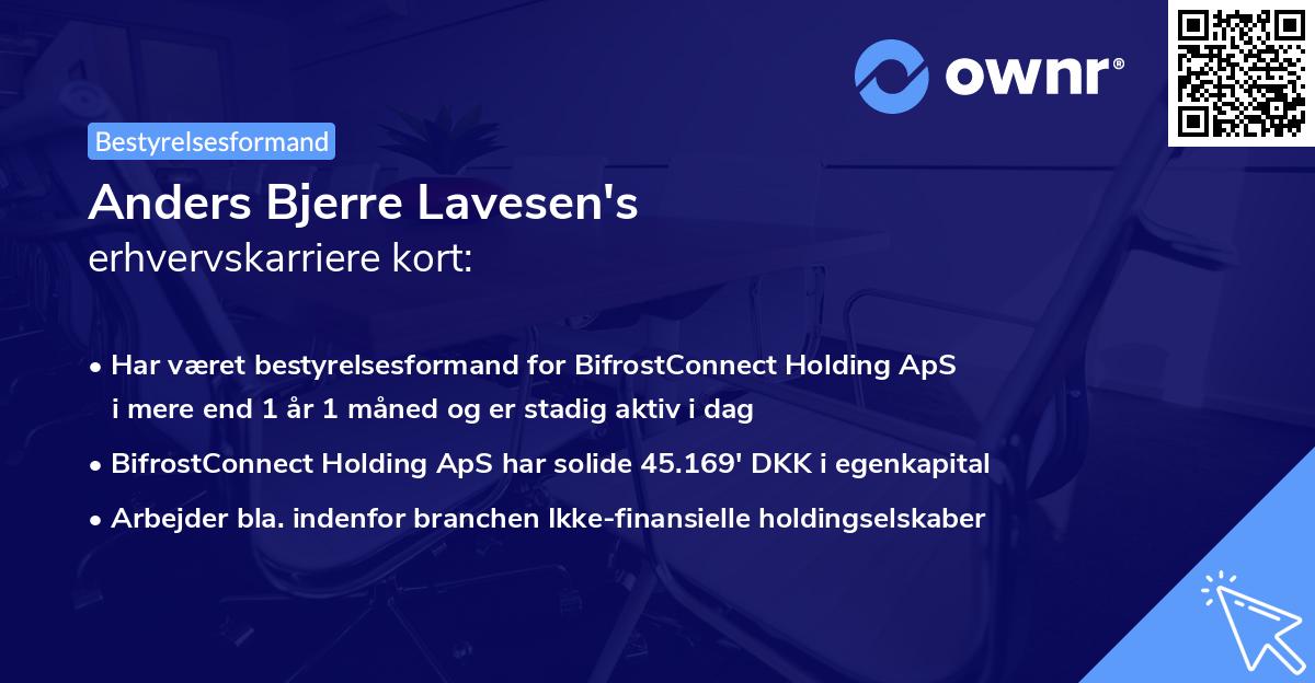 Anders Bjerre Lavesen's erhvervskarriere kort