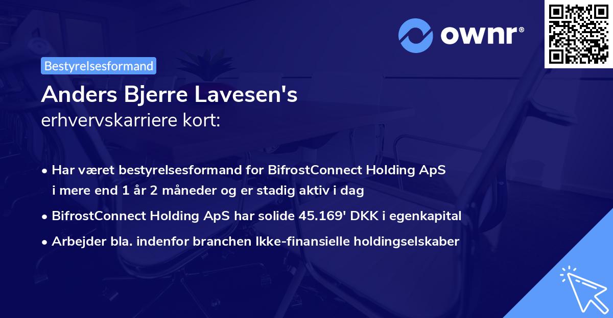 Anders Bjerre Lavesen's erhvervskarriere kort