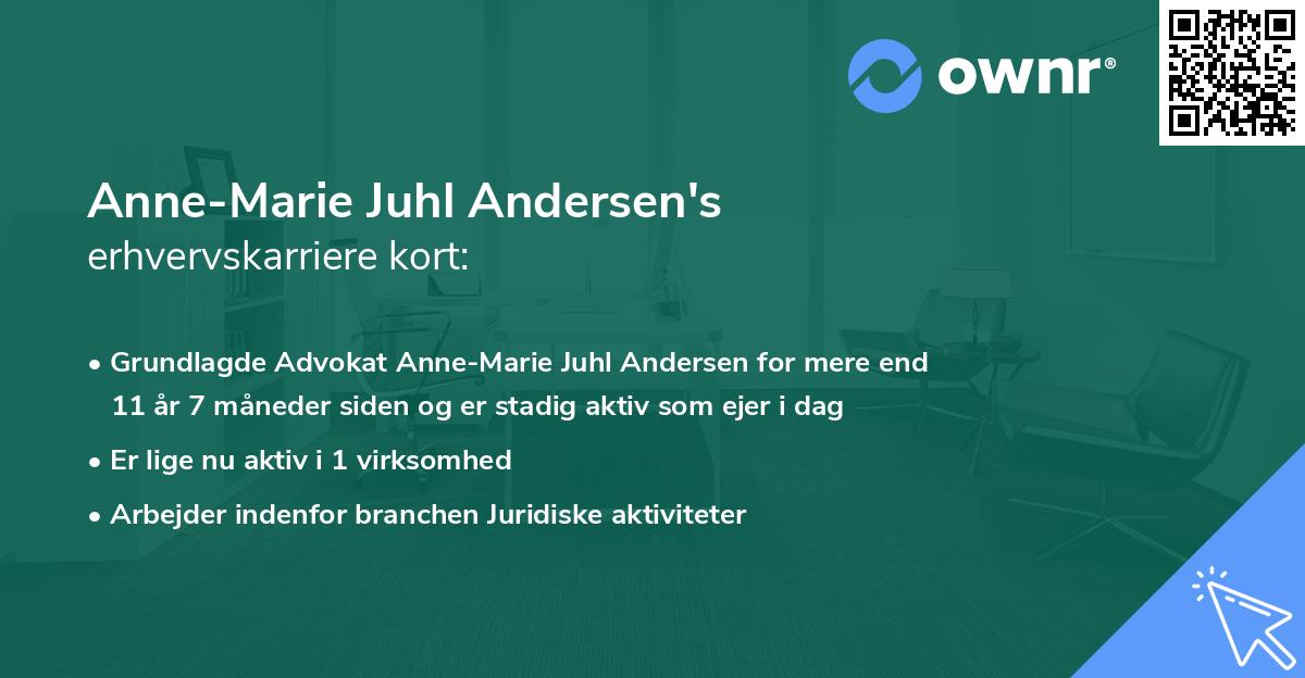 Anne-Marie Juhl Andersen's erhvervskarriere kort