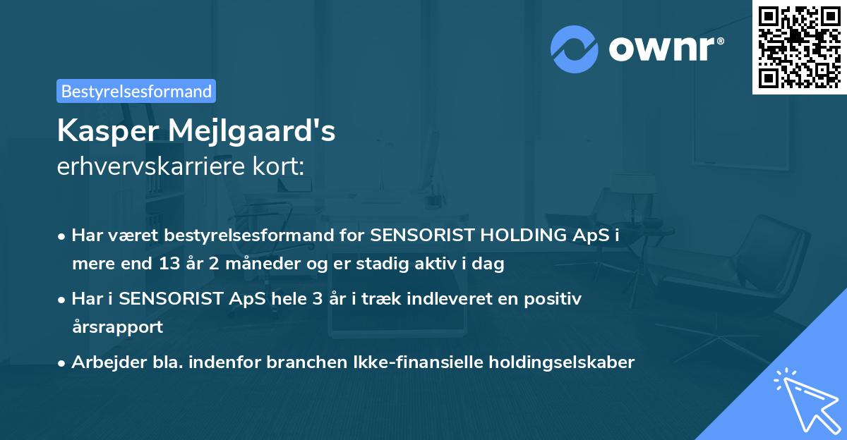 Kasper Mejlgaard's erhvervskarriere kort