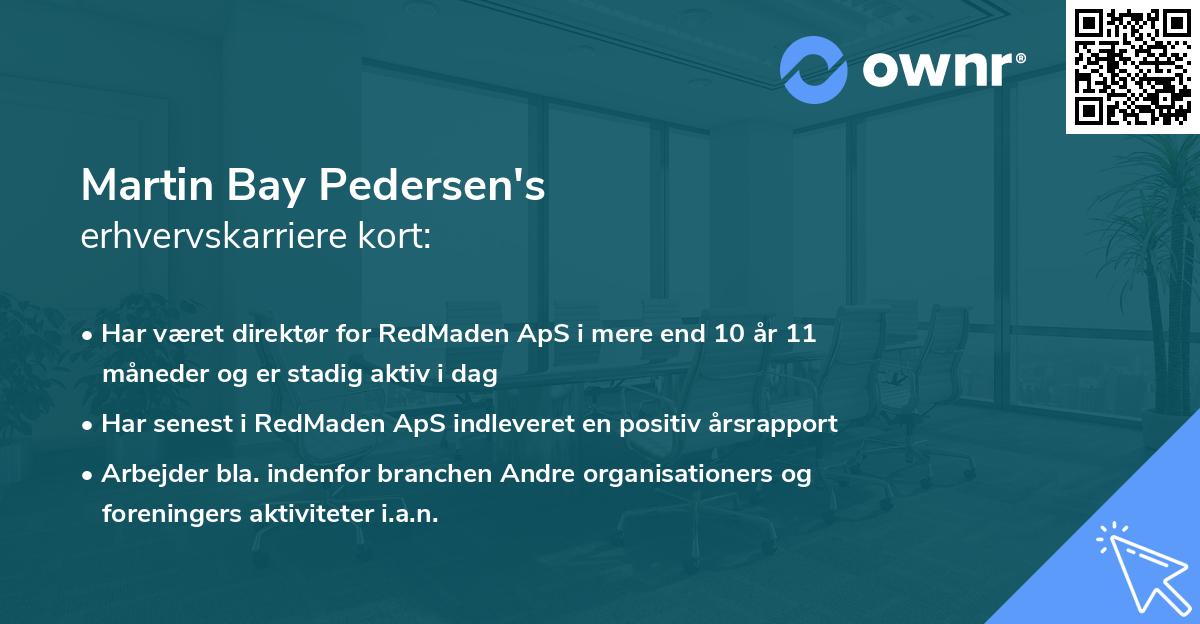 Martin Bay Pedersen's erhvervskarriere kort