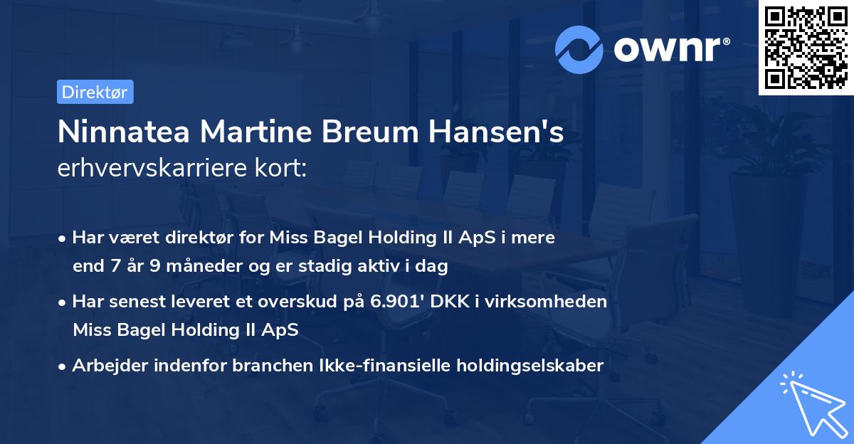 Ninnatea Martine Breum Hansen's erhvervskarriere kort