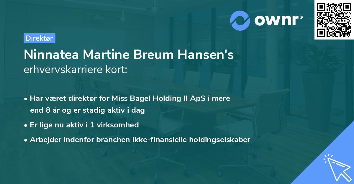 Ninnatea Martine Breum Hansen's erhvervskarriere kort