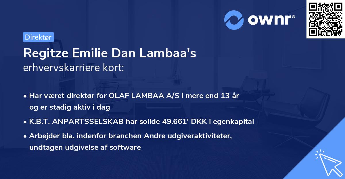 Regitze Emilie Dan Lambaa's erhvervskarriere kort
