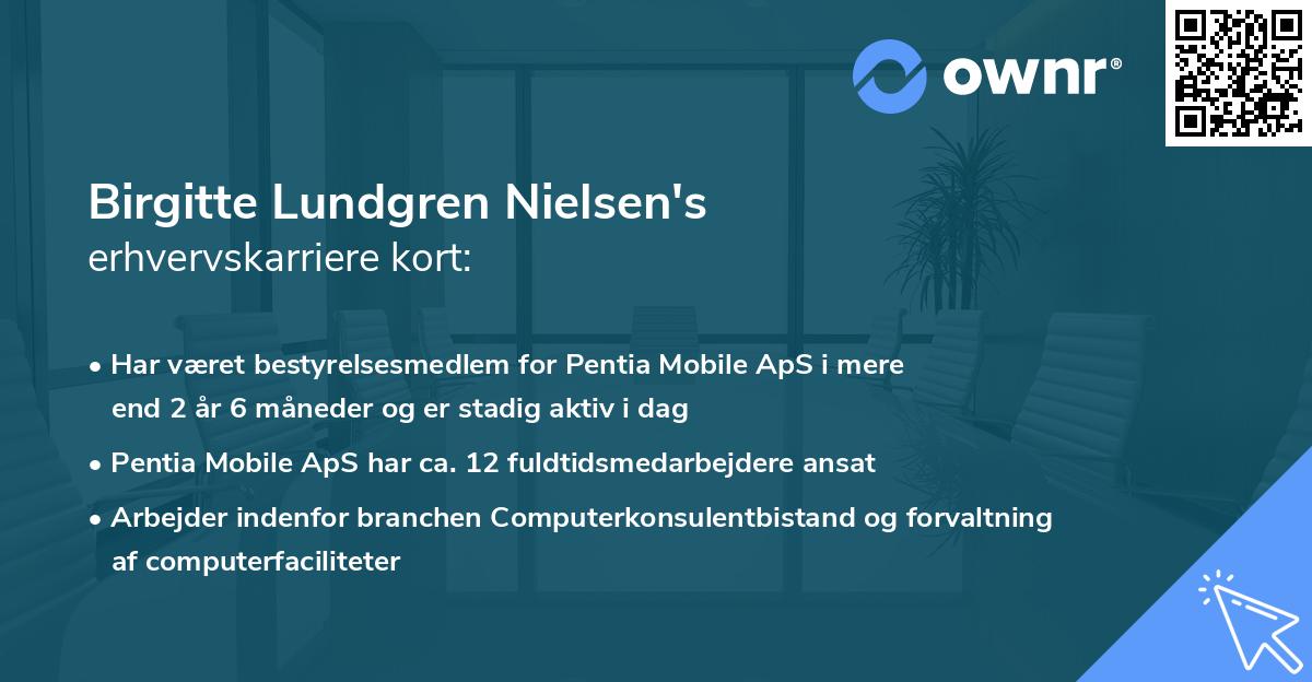 Birgitte Lundgren Nielsen's erhvervskarriere kort