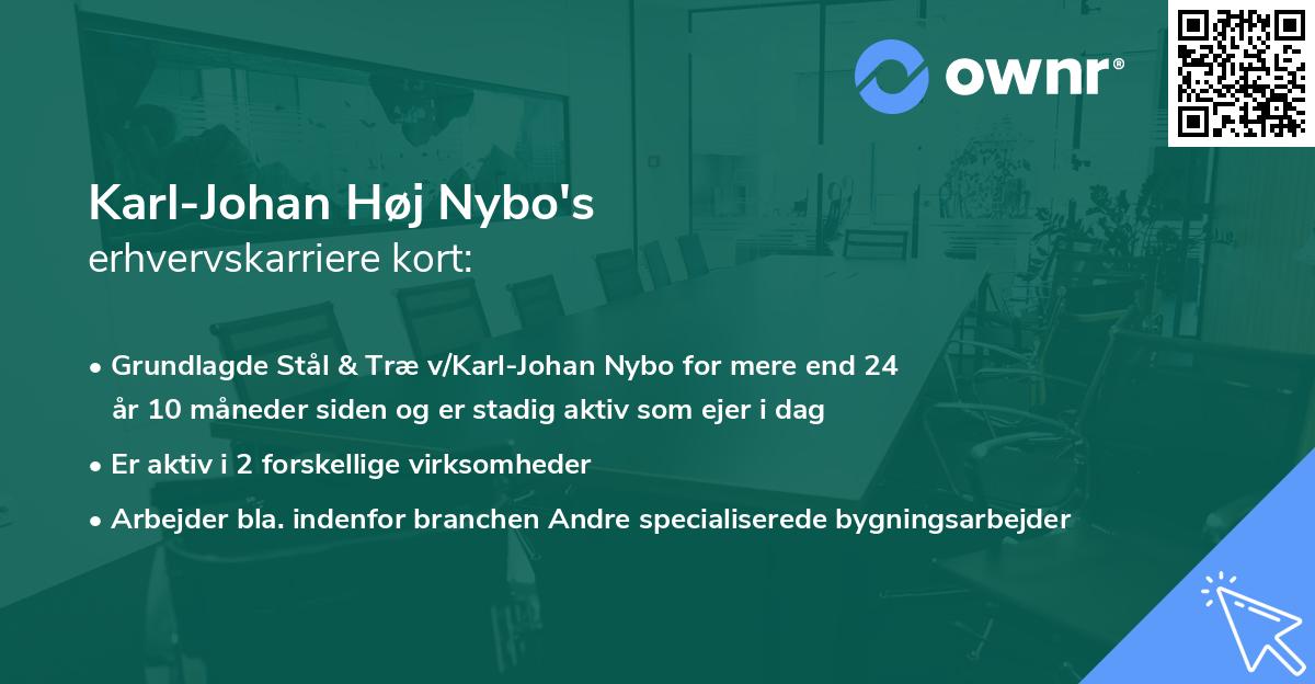 Karl-Johan Høj Nybo's erhvervskarriere kort
