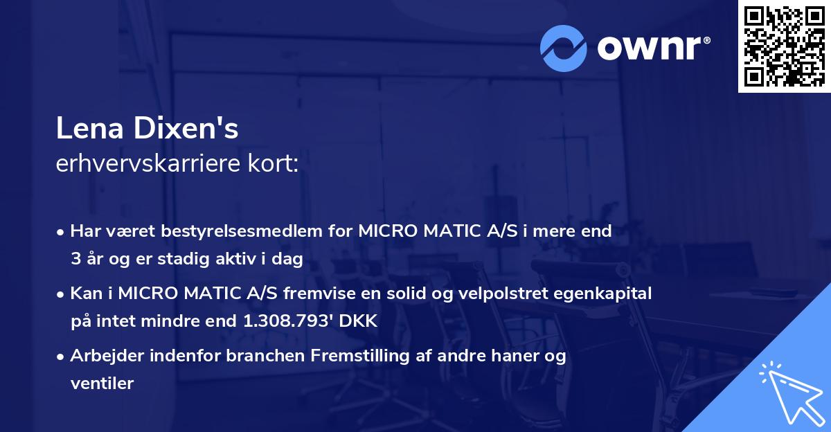 Lena Dixen's erhvervskarriere kort
