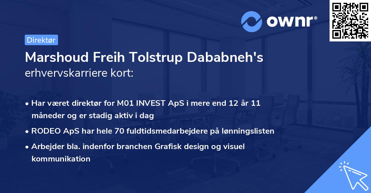 Marshoud Freih Tolstrup Dababneh's erhvervskarriere kort