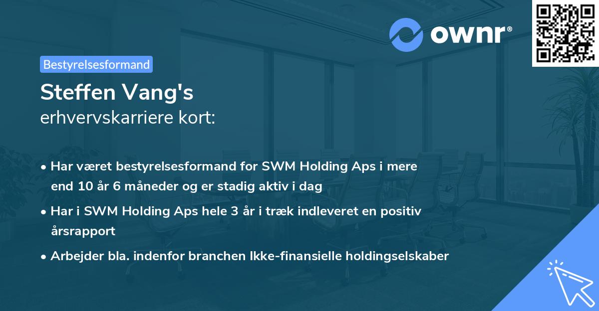 Steffen Vang's erhvervskarriere kort