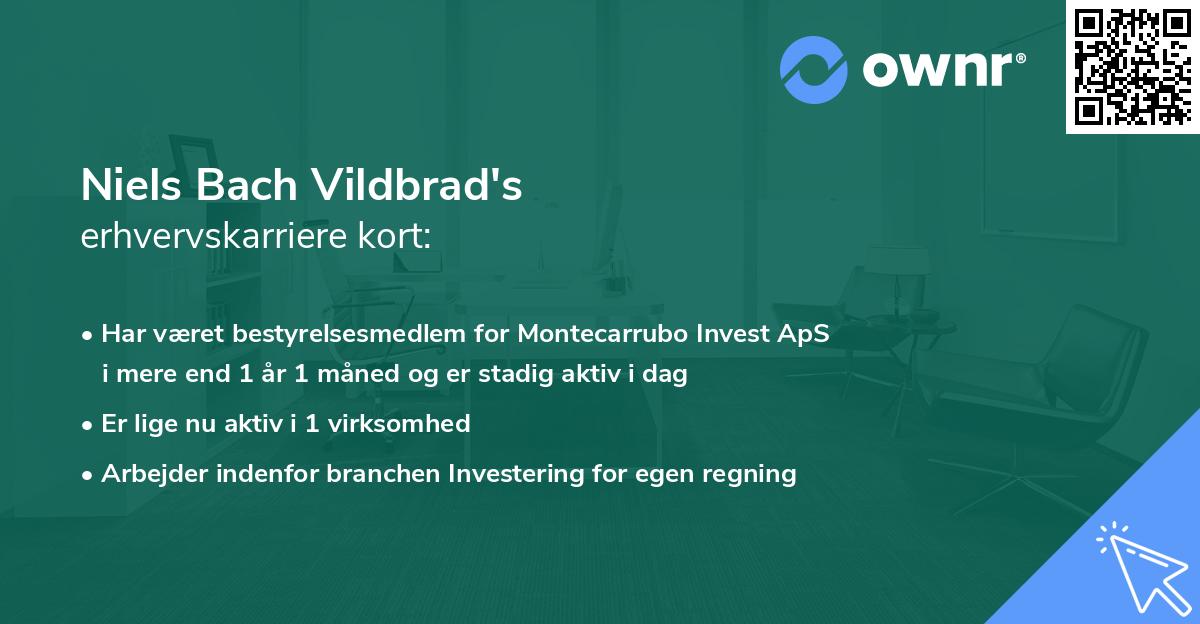 Niels Bach Vildbrad's erhvervskarriere kort