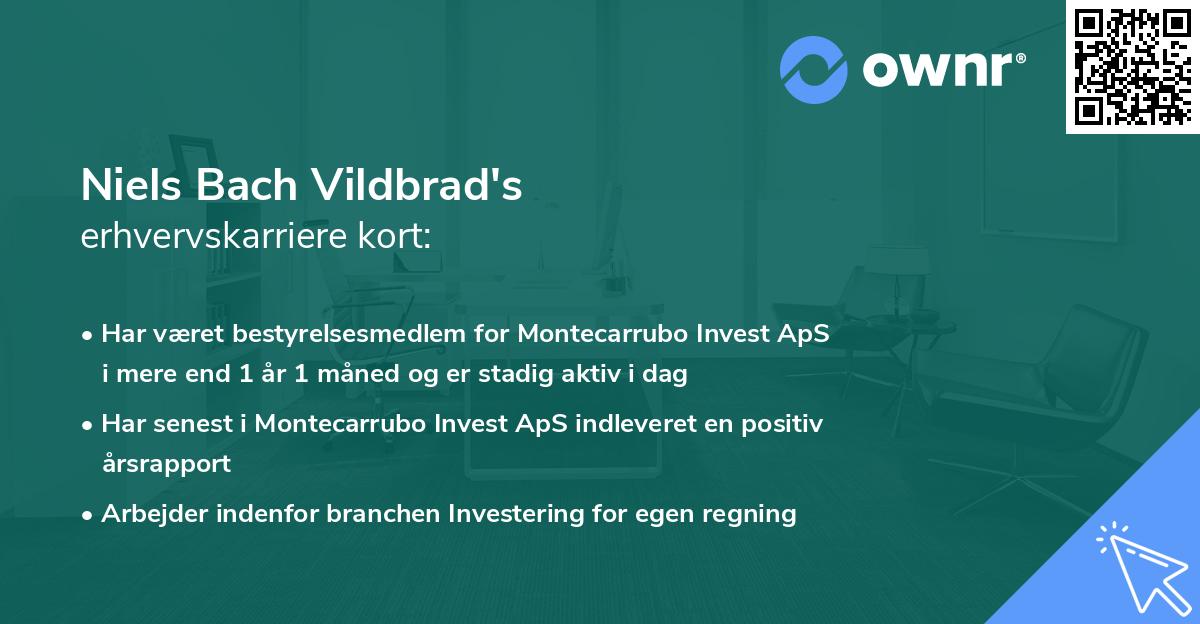 Niels Bach Vildbrad's erhvervskarriere kort