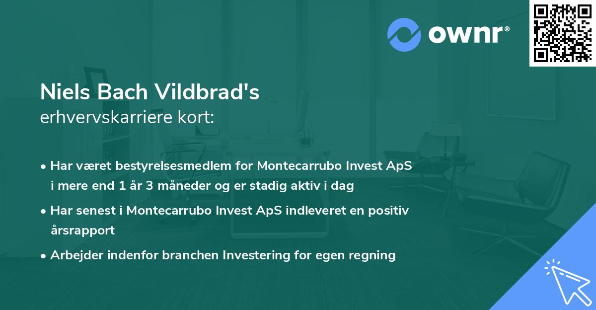 Niels Bach Vildbrad's erhvervskarriere kort