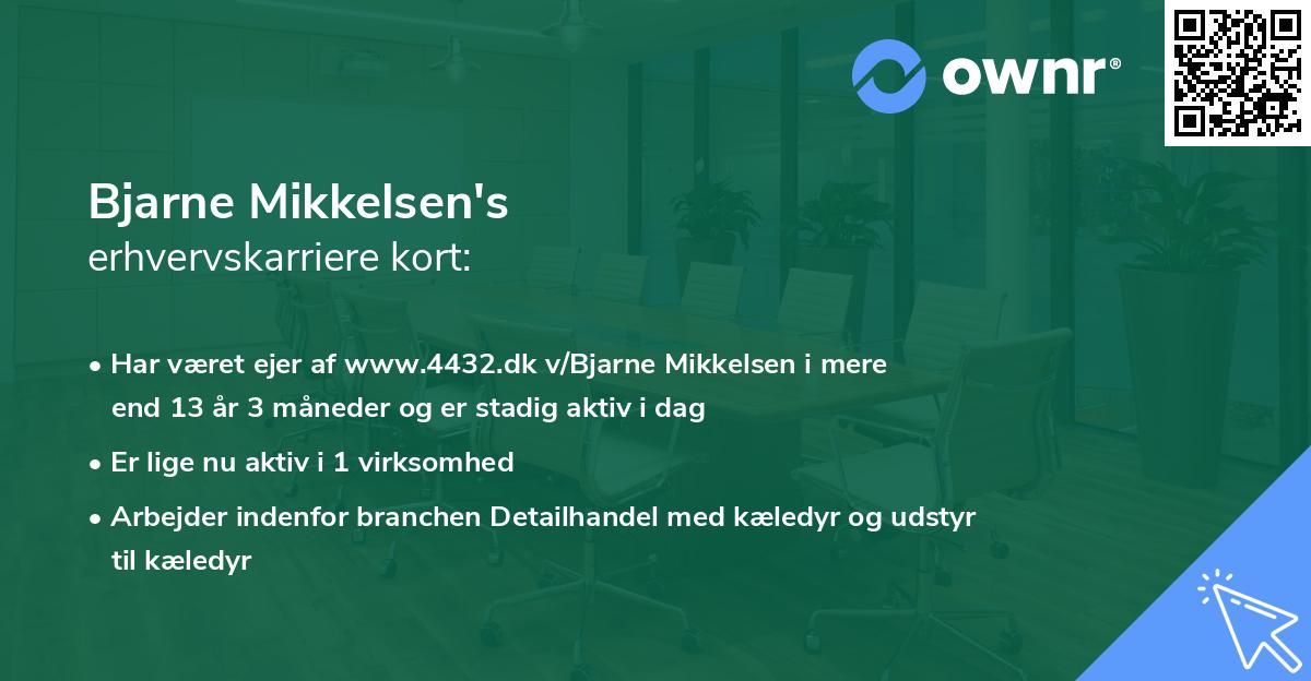 Bjarne Mikkelsen's erhvervskarriere kort