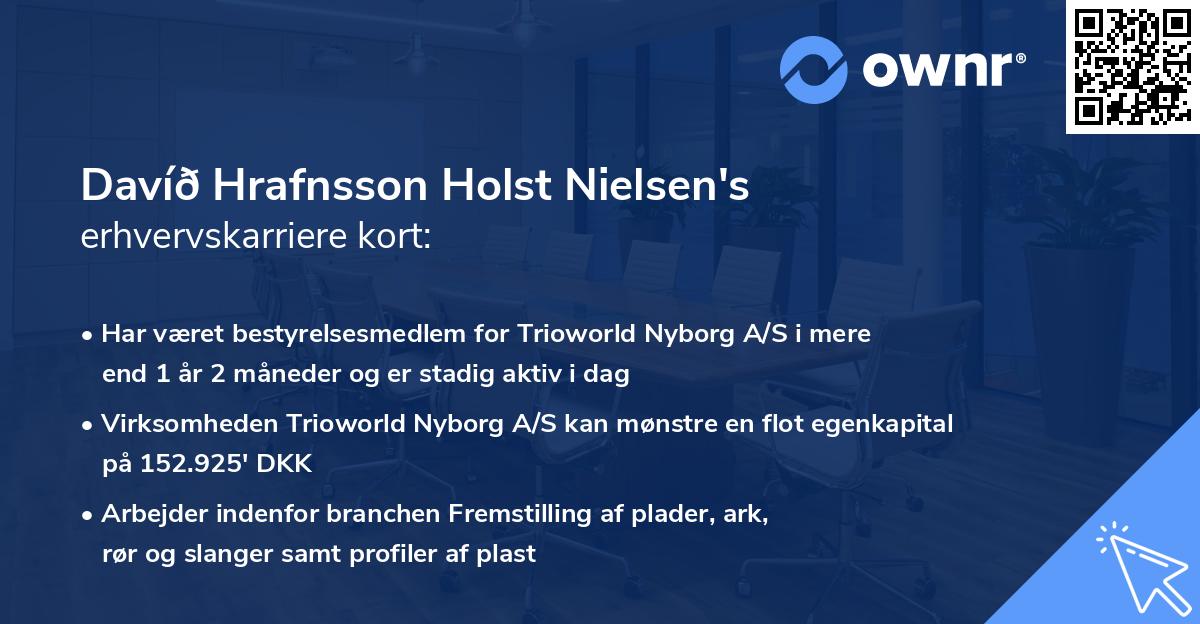 Davíð Hrafnsson Holst Nielsen's erhvervskarriere kort
