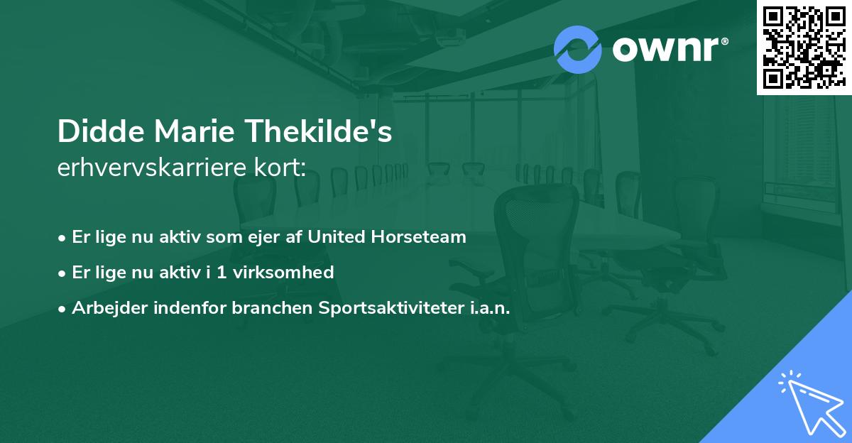 Didde Marie Thekilde's erhvervskarriere kort