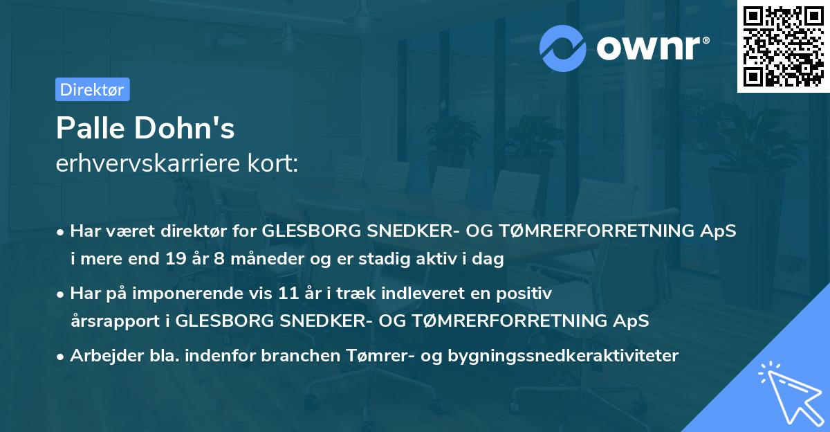 Palle Dohn's erhvervskarriere kort