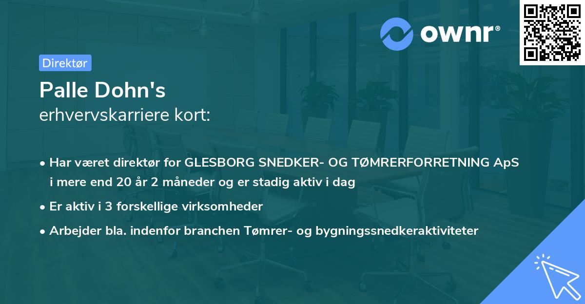 Palle Dohn's erhvervskarriere kort