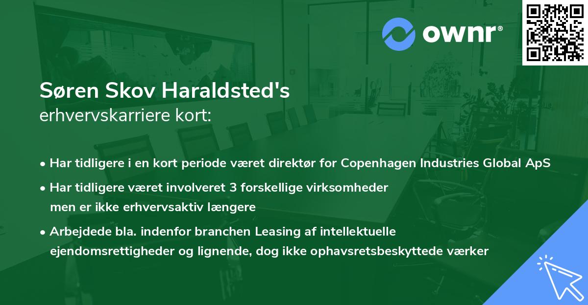 Søren Skov Haraldsted's erhvervskarriere kort