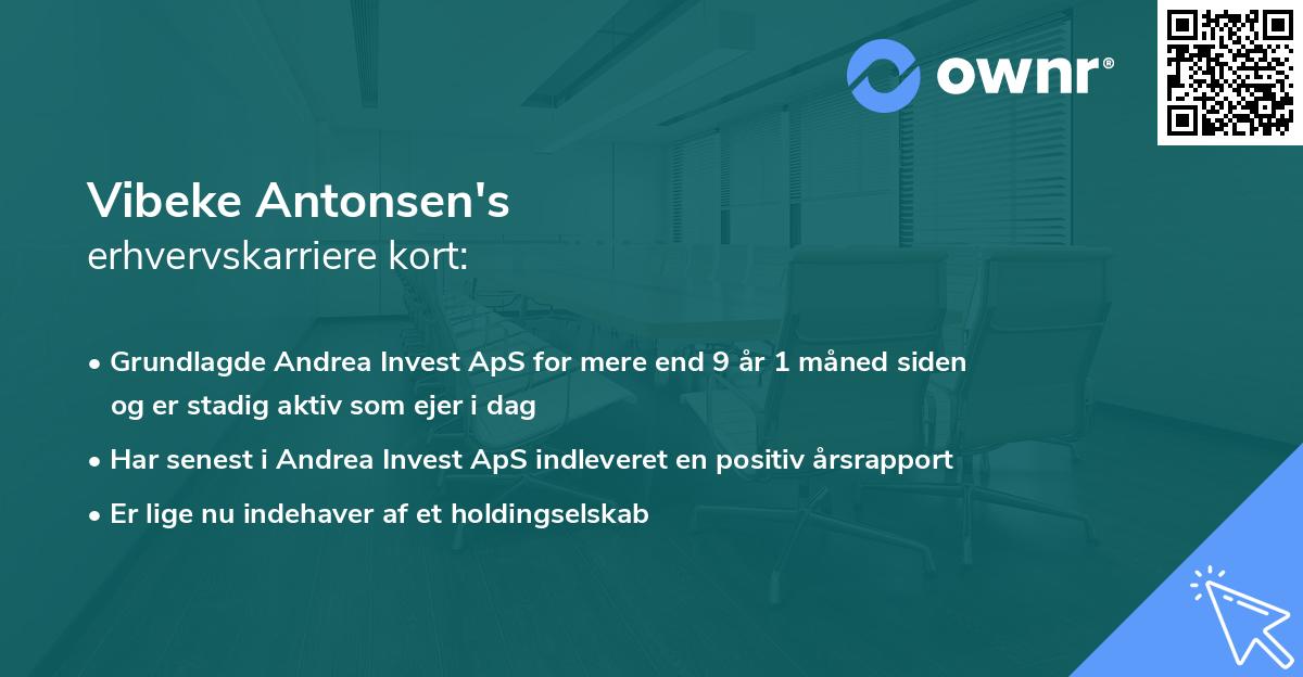 Vibeke Antonsen's erhvervskarriere kort