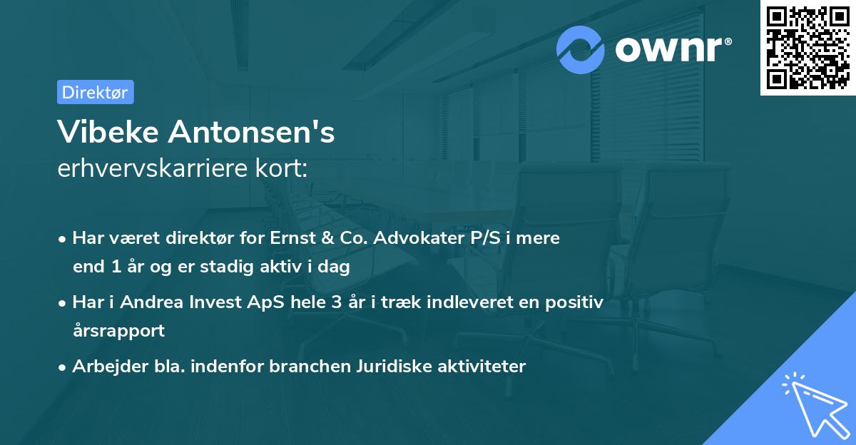 Vibeke Antonsen's erhvervskarriere kort