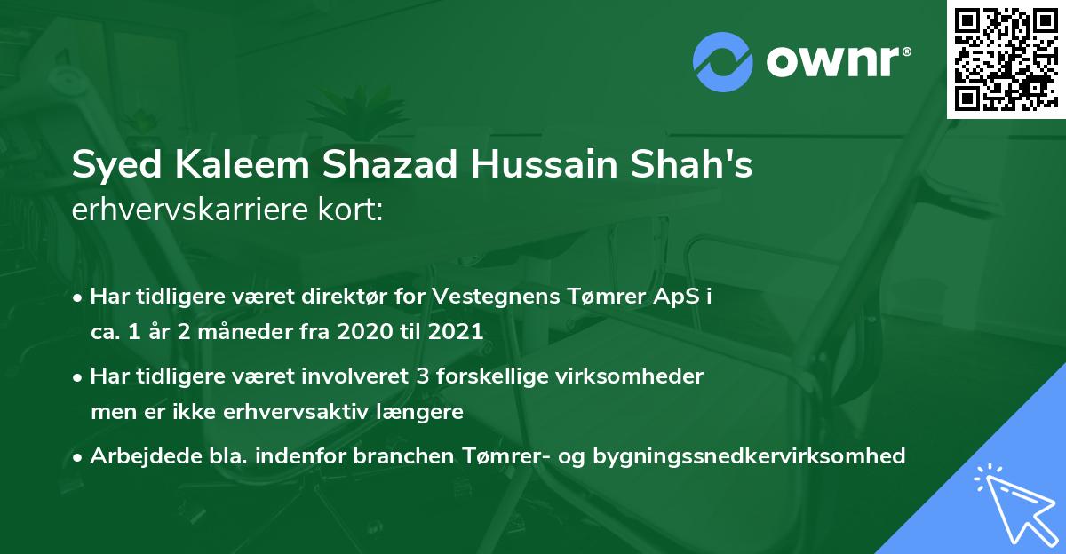 Syed Kaleem Shazad Hussain Shah's erhvervskarriere kort