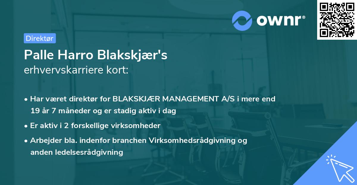 Palle Harro Blakskjær's erhvervskarriere kort