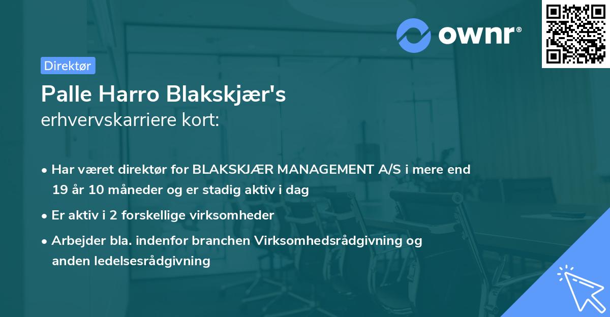 Palle Harro Blakskjær's erhvervskarriere kort