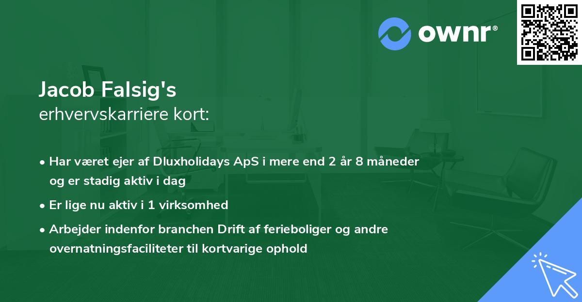 Jacob Falsig's erhvervskarriere kort