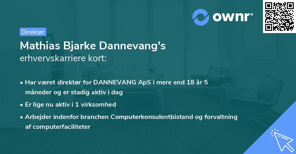 Mathias Bjarke Dannevang's erhvervskarriere kort