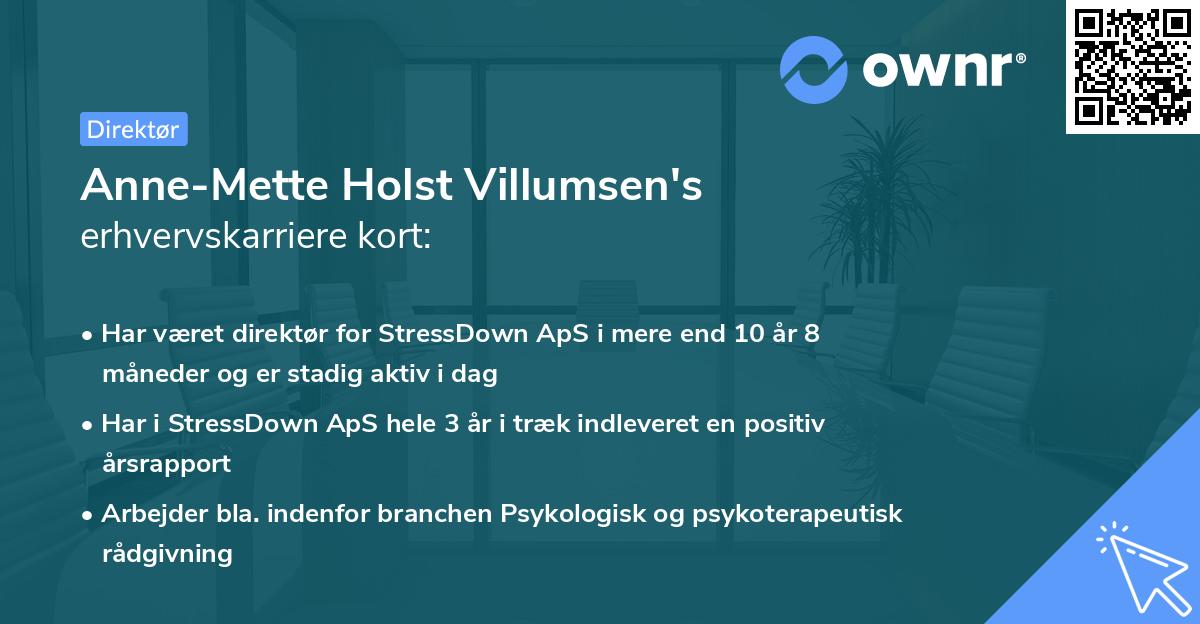 Anne-Mette Holst Villumsen's erhvervskarriere kort