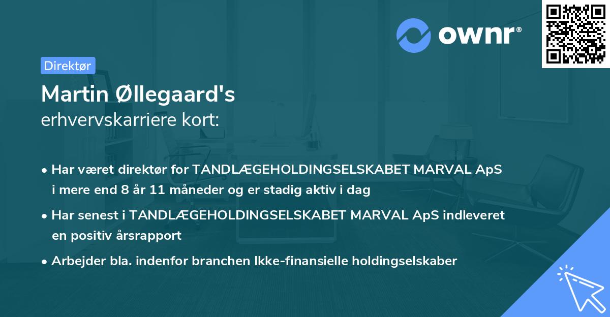 Martin Øllegaard's erhvervskarriere kort