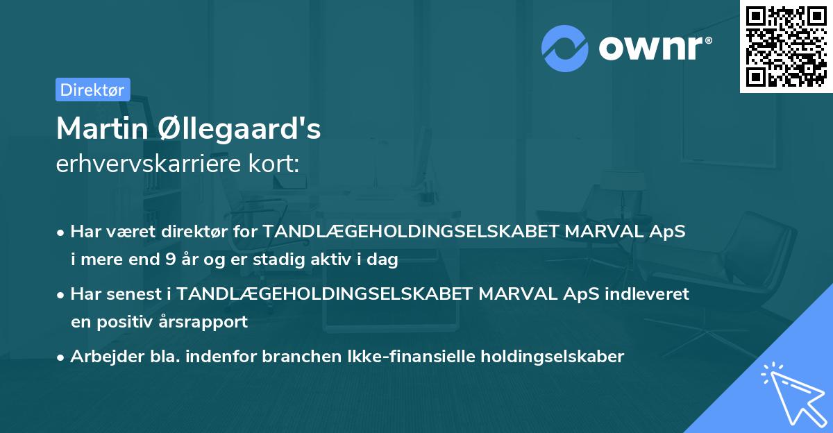 Martin Øllegaard's erhvervskarriere kort