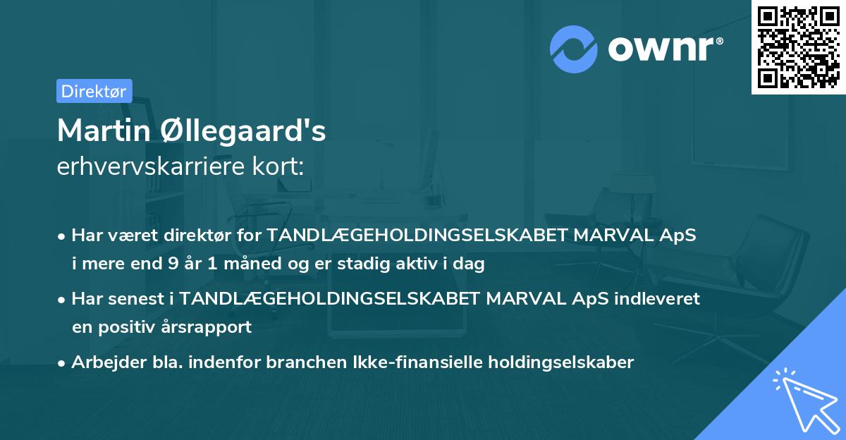 Martin Øllegaard's erhvervskarriere kort