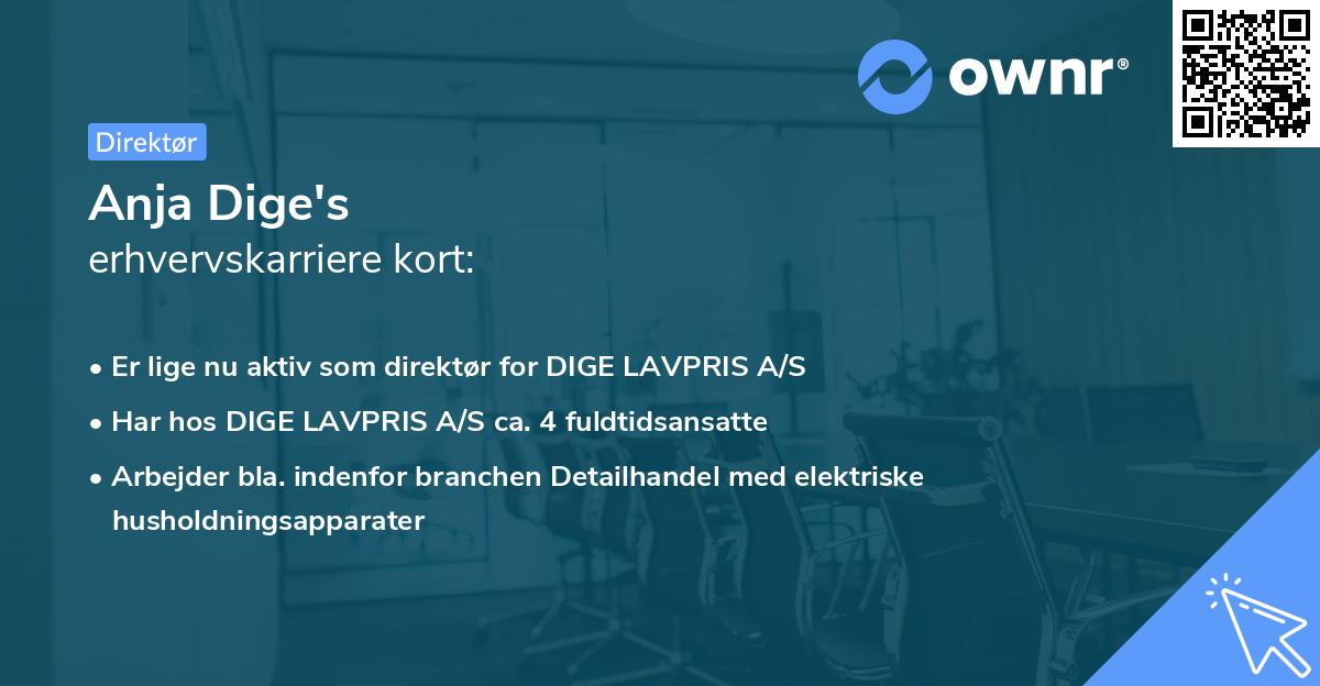 Anja Dige's erhvervskarriere kort