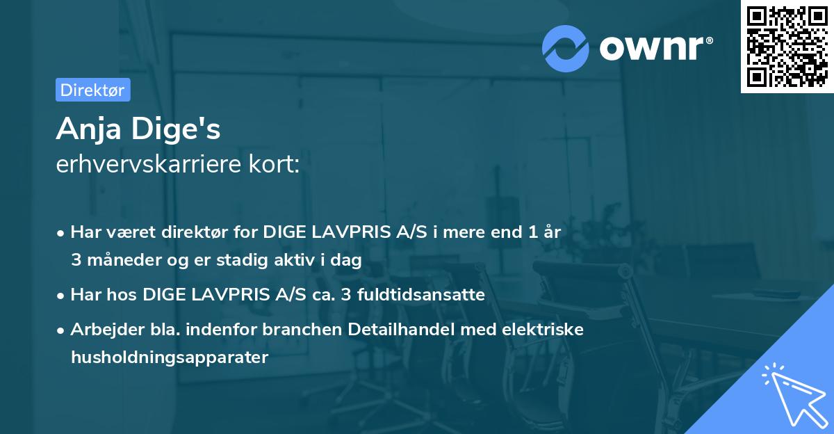 Anja Dige's erhvervskarriere kort