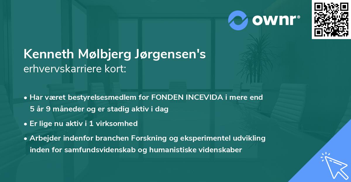 Kenneth Mølbjerg Jørgensen's erhvervskarriere kort