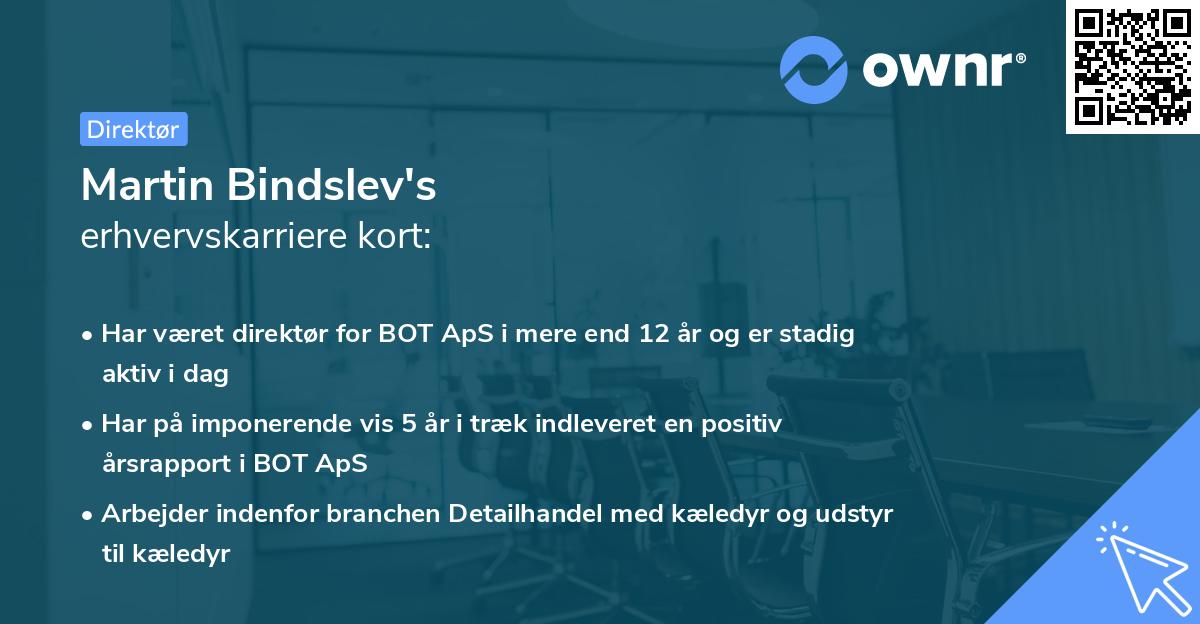 Martin Bindslev's erhvervskarriere kort