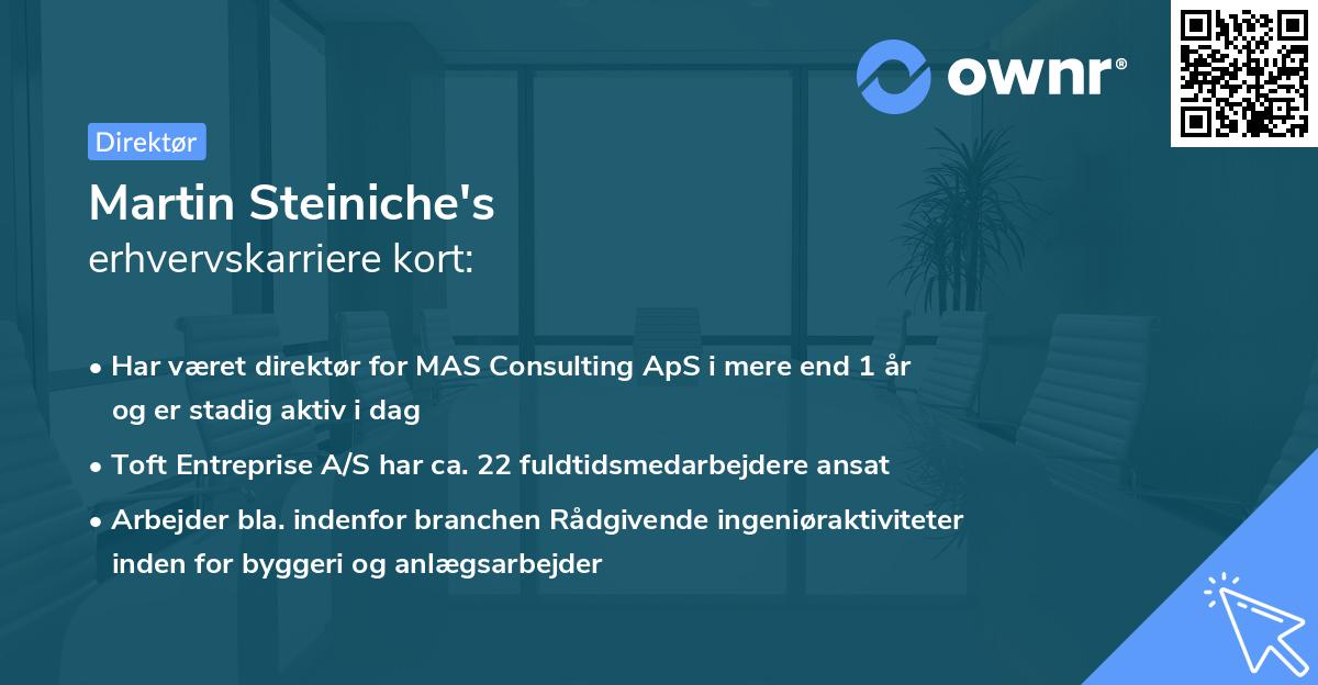 Martin Steiniche's erhvervskarriere kort
