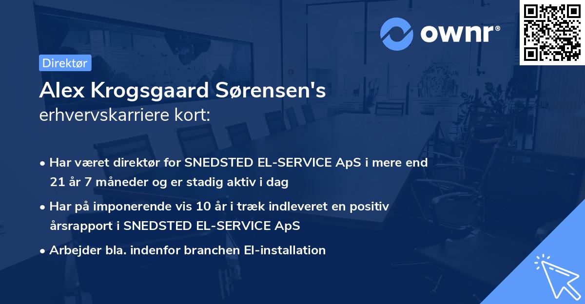 Alex Krogsgaard Sørensen's erhvervskarriere kort