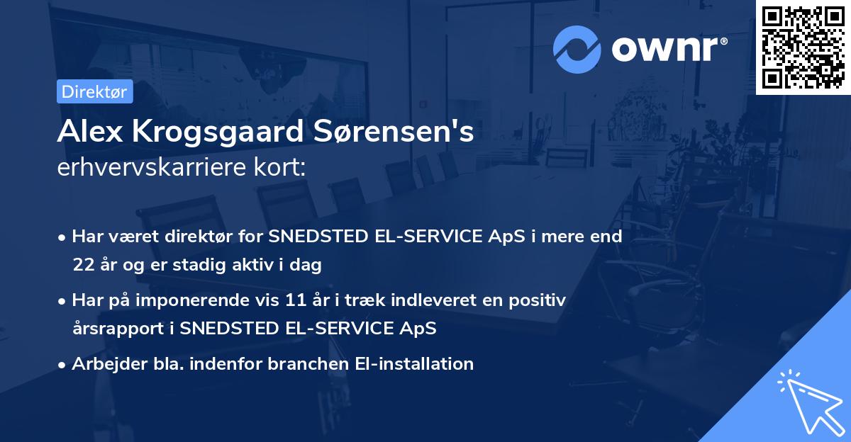 Alex Krogsgaard Sørensen's erhvervskarriere kort