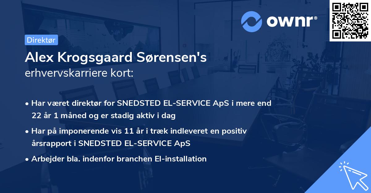 Alex Krogsgaard Sørensen's erhvervskarriere kort