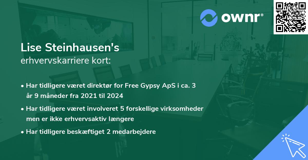 Lise Steinhausen's erhvervskarriere kort