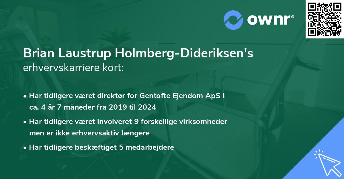 Brian Laustrup Holmberg-Dideriksen's erhvervskarriere kort