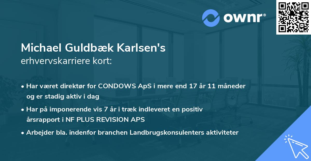 Michael Guldbæk Karlsen's erhvervskarriere kort