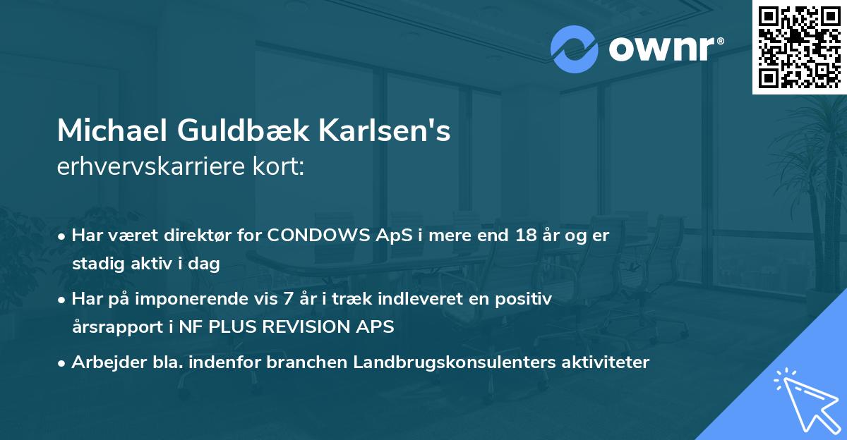 Michael Guldbæk Karlsen's erhvervskarriere kort
