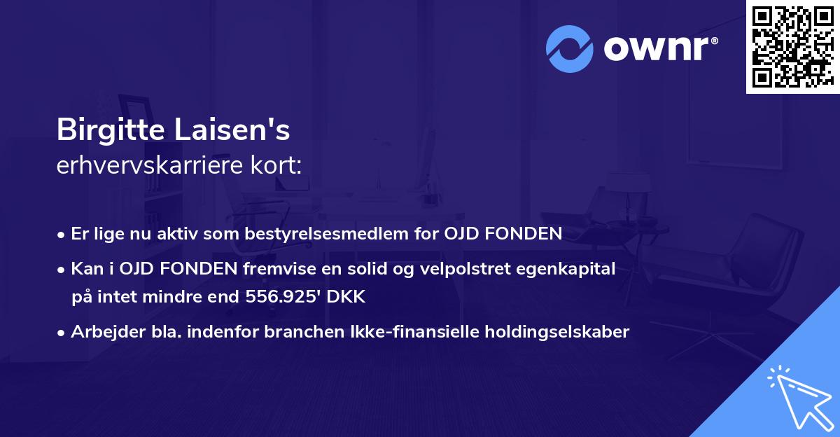 Birgitte Laisen's erhvervskarriere kort