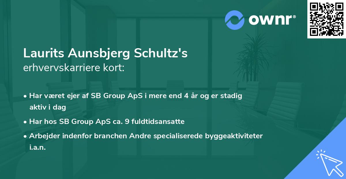 Laurits Aunsbjerg Schultz's erhvervskarriere kort