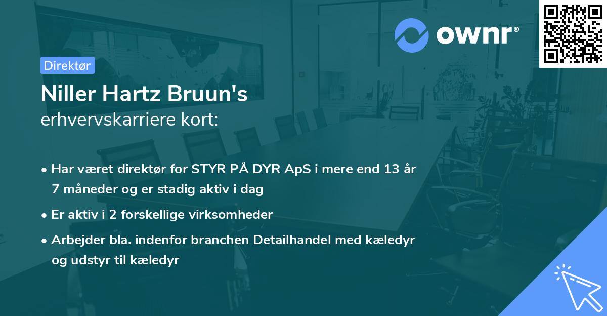 Niller Hartz Bruun's erhvervskarriere kort